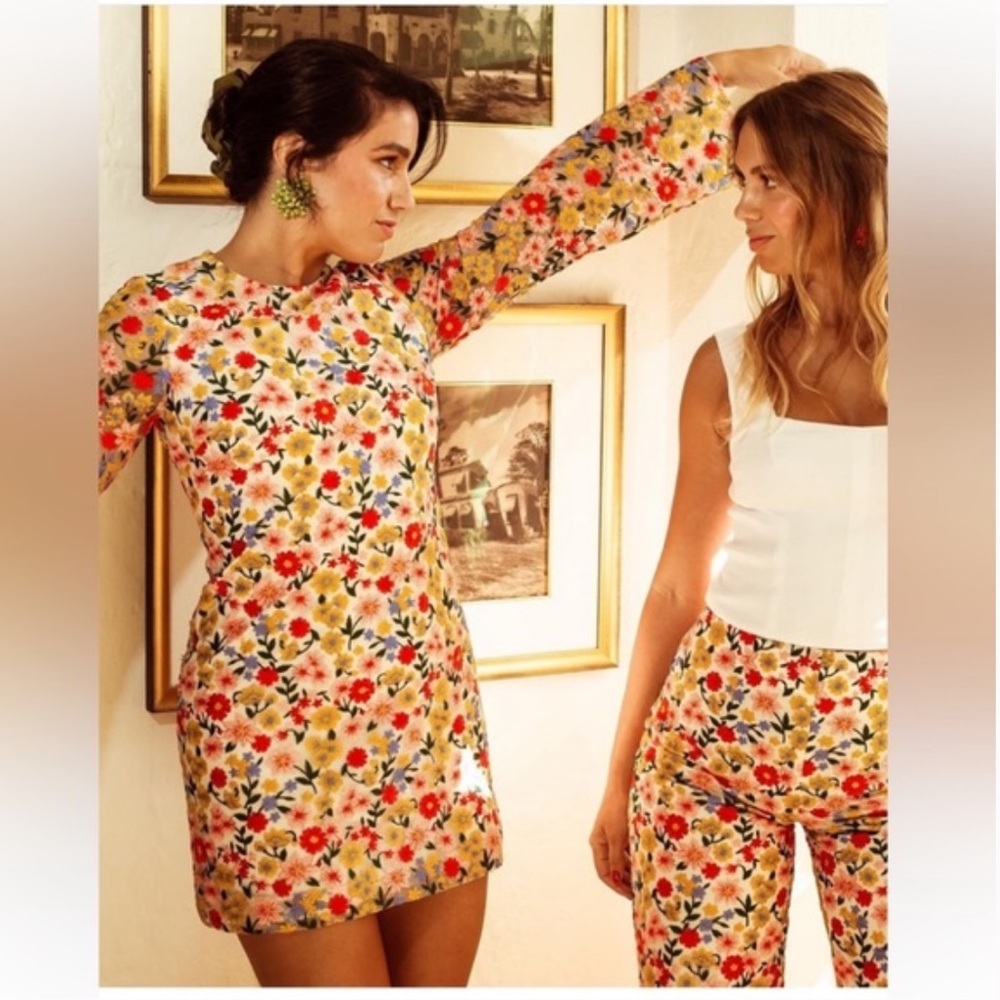 Antonio Melani x The Nat Note Clementina Embroidered Floral Mini dress size 6
